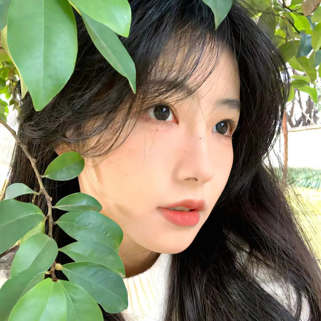 德布西森林